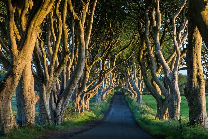Private Northern Ireland Day Tour from Dublin - Giants Causeway and its 40,000 basalt columns