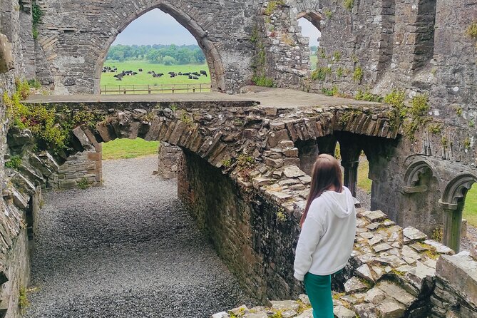 Private Tour from Dublin: Hill of Tara Trim Castle, Celtic sites - Why Tara is more than a grassy hill