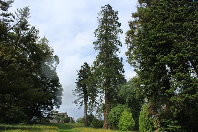 Private Wicklow Mountains Day Tour - Kilmacurragh and the return to Dublin