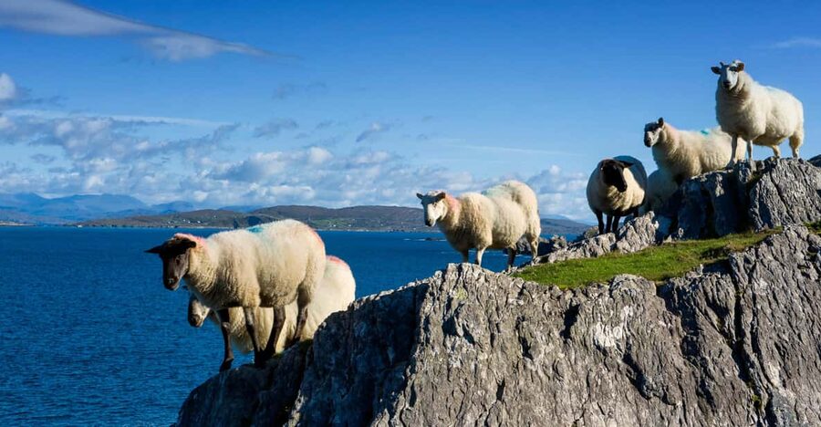 Private Wild Atlantic Day Tour from Cork - A private day with room to change direction