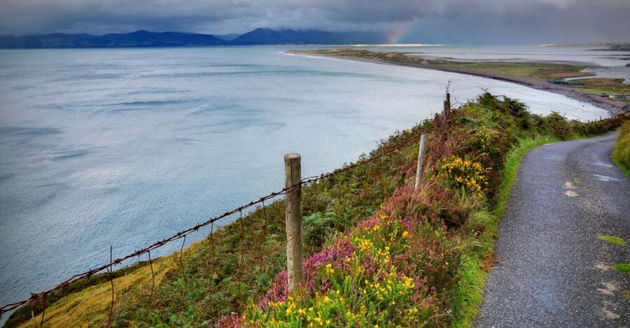 Rail Tour from Dublin: The Ring of Kerry - Dingle Bay and the first big views