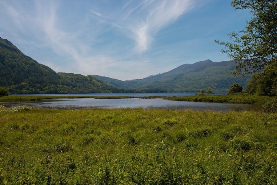 Rail Tour from Dublin: The Ring of Kerry - Moll’s Gap and Ladies View