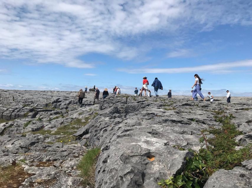 Rail Tour: The Cliffs of Moher & Bunratty Castle Tour - Guides, buses, and the human side of the day