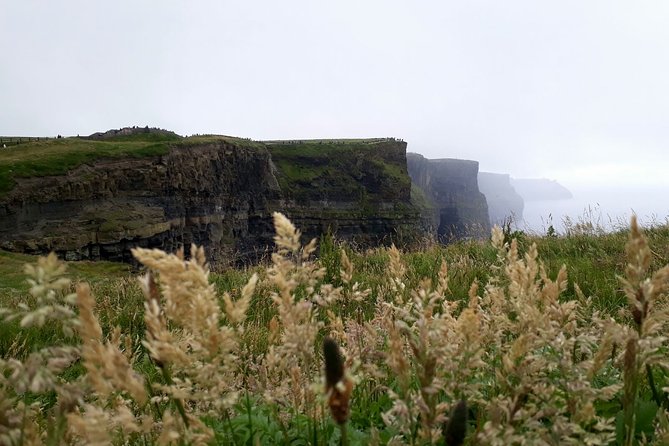 Scogliere di moher e Galway in italiano - Le Scogliere di Moher: due ore davanti al mare