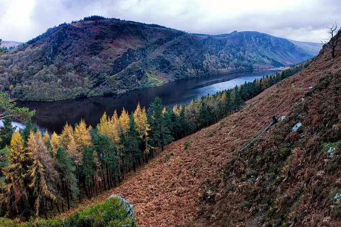 (Small Group) Shore Tour from Dublin:Dublin Highlights and Glendalough Day Trip - Is $130.97 a Fair Price?