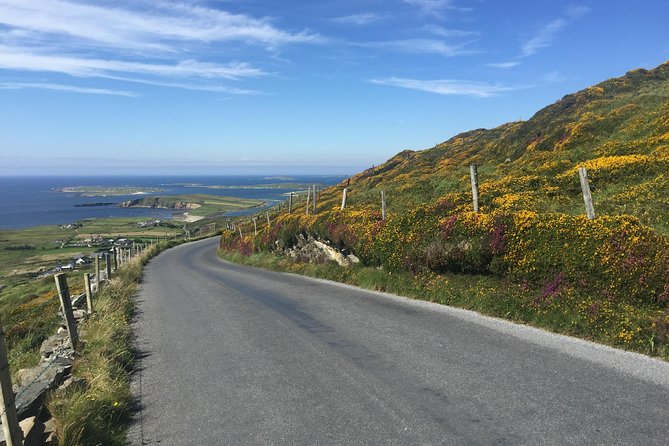 Sustainable Connemara and Galway Bay Rail Tour from Dublin - Letterfrack, Clifden, and the Atlantic side of Connemara