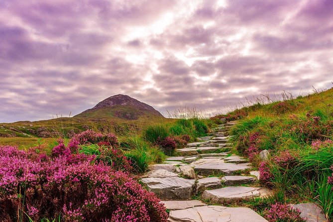 Sustainable Connemara and Galway Bay Rail Tour from Dublin - What the $193.86 price really buys