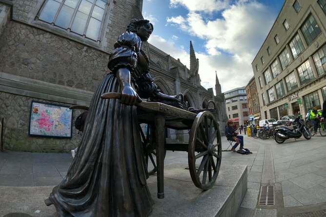 The Dublin Private Walking Tour - Georgian Dublin and Leinster House