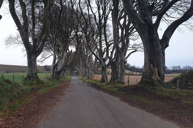 The Giant's Causeway, Dunluce Castel and Belfast - Spanish guide - The Titanic Exhibition and what is included