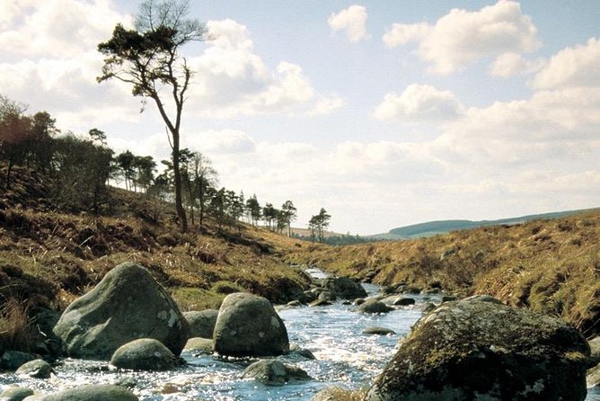 The Original Award Winning Wild Wicklow Tour incl. Glendalough - The coach ride home includes a small local toast