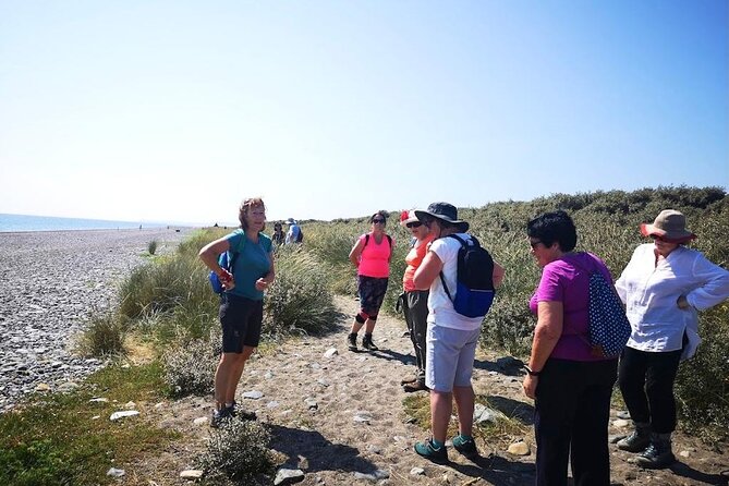 Tour Wicklow Mountains National Park in a limo with private guide - Who will enjoy this day most?