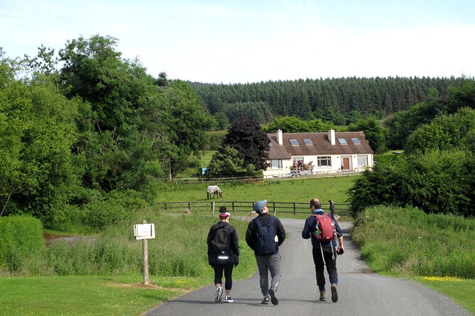 Trek the Tombs and Trails in the Dublin Mountains - Seasonal berries and a slower pace