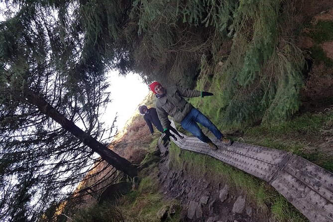 Trek the Tombs and Trails in the Dublin Mountains - The second tomb on the ridge
