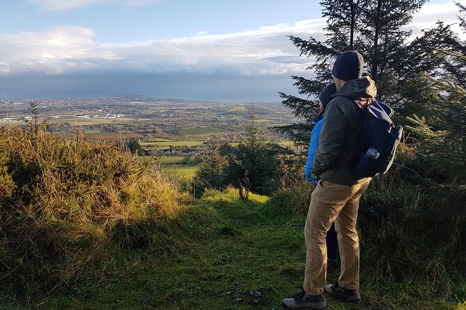Trek the Tombs and Trails in the Dublin Mountains - Down through the evergreen forest