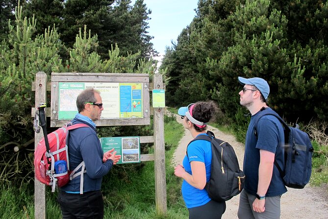 Trek the Tombs and Trails in the Dublin Mountains - Returning by a different bus route