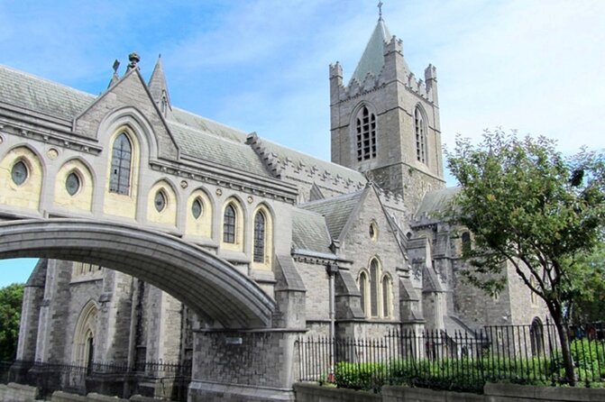 Walking Tour of Dublin’s Viking/Medieval Quarter with a Viking - Walking the Viking and medieval quarter