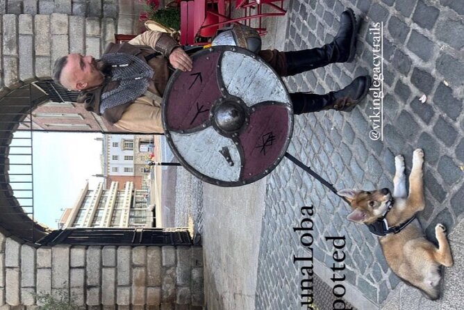 Walking Tour of Dublin’s Viking/Medieval Quarter with a Viking - Timing, group size, and practical planning