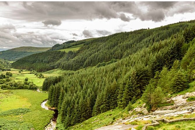 Wicklow and Glendalough Private Chauffeured Sightseeing Tour - Powerscourt Waterfall in a wooded valley