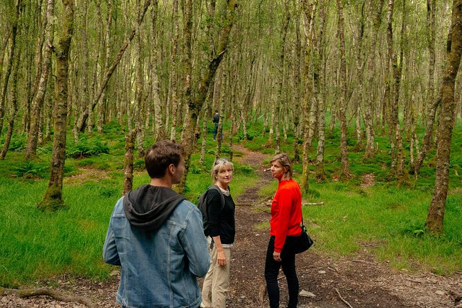 Wicklow Mountains Private Day Trip from Dublin - The guide can make or break the day