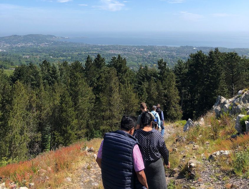 Wicklow: Private Day Tour from Dublin - Glendalough’s lakes and St Kevin’s monastery
