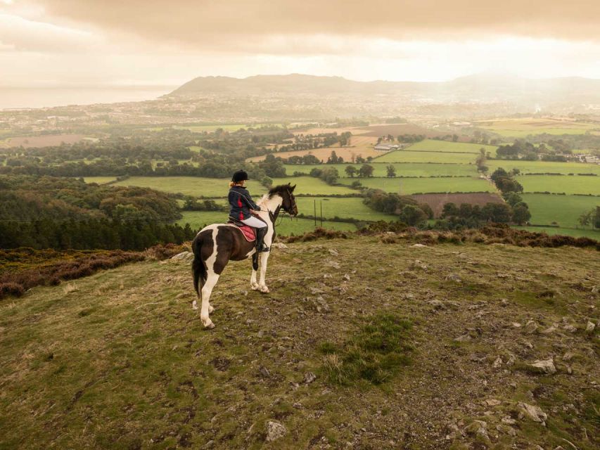 Wicklow: Private Day Tour from Dublin - Who will get the most from this Wicklow day